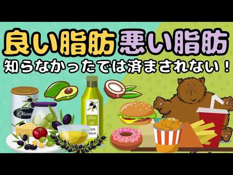 飽和脂肪 – それは何ですか、本当に悪いものですか、完全な分析