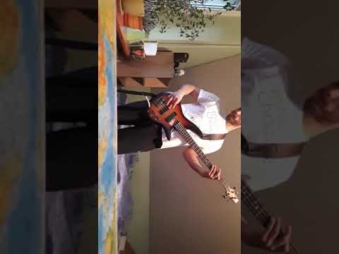 ORGANEK - Mississippi w ogniu (BASS COVER)