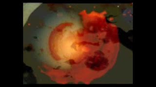 Stonephace - Yellow Brick Road