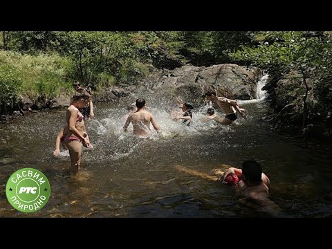 Sasvim prirodno: Prvi put s' ocem (Jovan Memedović)