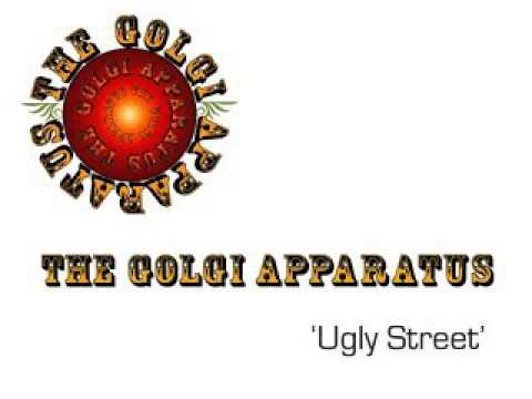 The Golgi Apparatus 'Ugly Street'