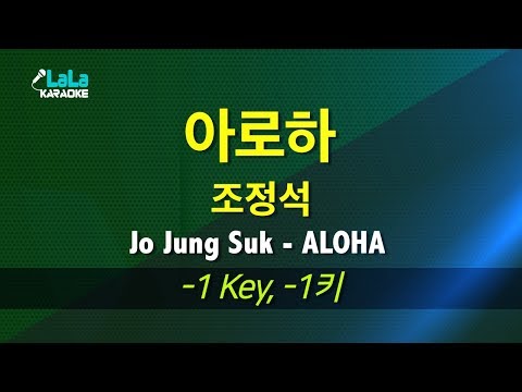 조정석(Jo Jung Suk) - 아로하(ALOHA) (슬기로운 의사생활) (-1키) 노래방 mr LaLaKaraoke