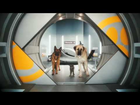 Tráiler Como perros y gatos 2: La venganza de Kitty Galore 2010
