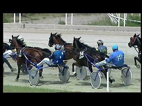 Napoli Trotto 10/05/2022 - 1ª corsa