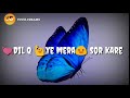 Dil Kyun Yeh Mera Shor Kare WhatsApp Status Kites Hrithik Roshan Bárbara Mori Hd Status