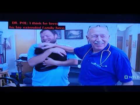 Dr Pol: Tater the clinic cat.