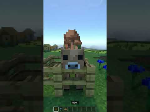 Minecraft Tricks Everyone Should Try