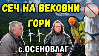 Сеч на вековни гори в Своге заради перки и солари| Репортаж на „Свободен глас“