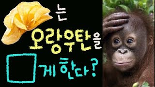 [생태계 환경보전 캠페인] 내가 먹는 과자가 오랑우탄을 □게 한다?