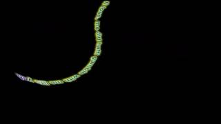 Alkaline - Red Eyes Lyrics - May 2017