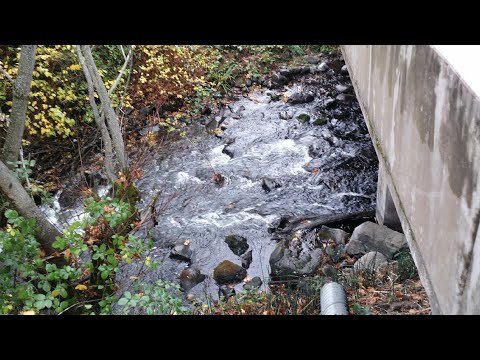 12/11/21-I HAVE EVERYTHING WHY AM I SO MISERABLE?   DBickford-Dr. Susanna McMahon-458-232-5238