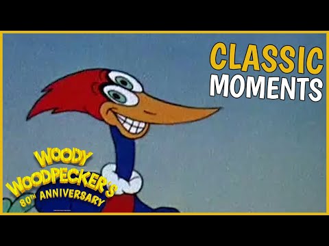 Classic Moments | Woody Woodpecker 80th Anniversary Special