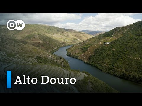 Alto Douro: Die älteste Weinregion der Welt | Europa maxximal