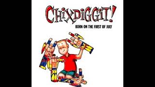 Chixdiggit! - 20 Times