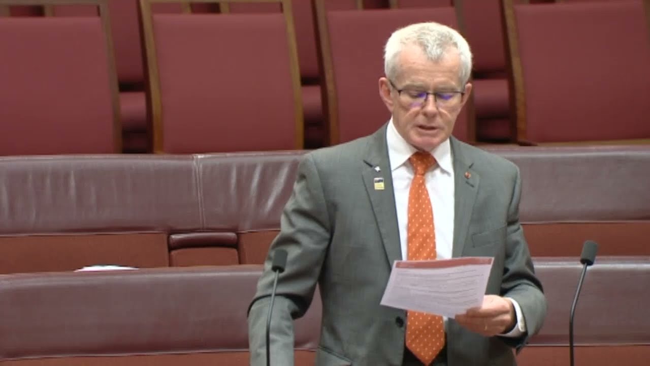 Greens Support Offshore Wind Despite Risks to Migrating Whales