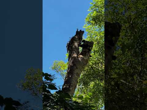 Lindas paisagens na divisa entre Ortigueira e Rosário do Ivai - Paraná