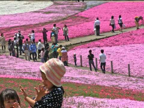 My Choice - Josef Strauss: Transactions Waltz