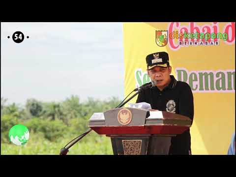 Launching Gerakan Tanam (Gertam) Cabai dan Bawang Merah serta Pemanfaatan Lahan Pekarangan