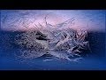 В.Тушнова. Я поняла,- ты не хотел мне зла... 