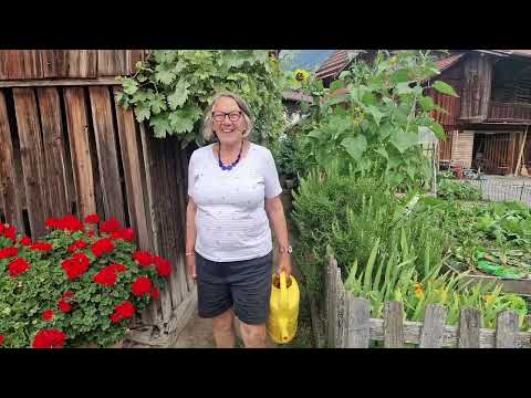 Experience the Majesty of Panorama Bridge in Sigriswil, #viral #switzerland