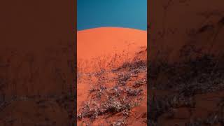 The Red Sand dunes in Mũi N&eacute; #shorts