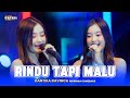 RINDU TAPI MALU Cantika Davinca OM NIRWANA COMEBACK Juwana PATI Official Performance Video