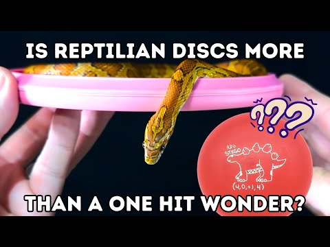 What happens when a disc becomes a meme? | First ...