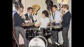 Dolly Roll Hawai - Honeycombs Have I The Right  Lyrics