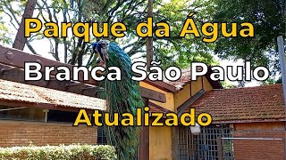 🌎 Parque da Água Branca São Paulo [Atualizado]