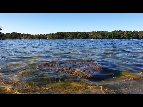 Stockholm - A beautiful neighborhood, the Artipelag, and a lake in Värmdö