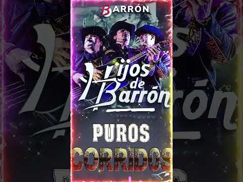 los hijos de barron corridos
