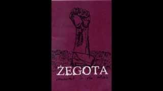 Zegota - A Matter Of Paths To Choose