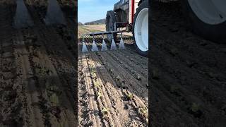 Smart Tractor Weed Control!