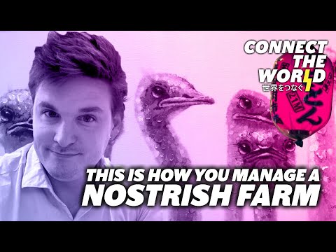 King of free speech Nostr Damus | William Casarin video thumbnail