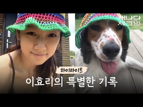 [하이라이트] | 효리의 가장 사적이고 특별한 기록🏄‍♀️🍷🐶🍁 | 캐나다 체크인 예고편