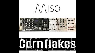 Video thumbnail for TEST SERIES Miso Modular Cornflakes Granular Stereo Sampler And Harmonizer Eurorack Sound Design by Outsider Sound Design