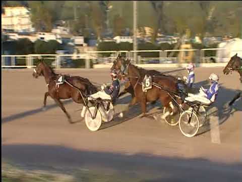 Trotto 16/11/2018 - 3ª corsa