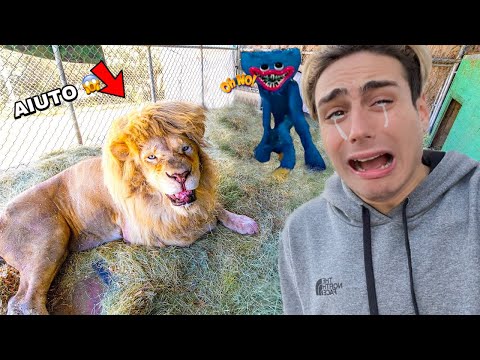 WE GOT STUCK IN A ZOO WITH HUGGY WUGGY!! *so scary*