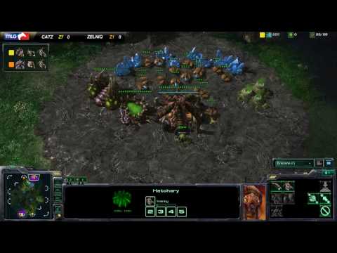 HD MLG Starcraft 2 Catz vs. Zelniq 1