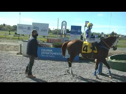 CARRERAS SINT COLONIA 210617 c01- 1° ACTOR