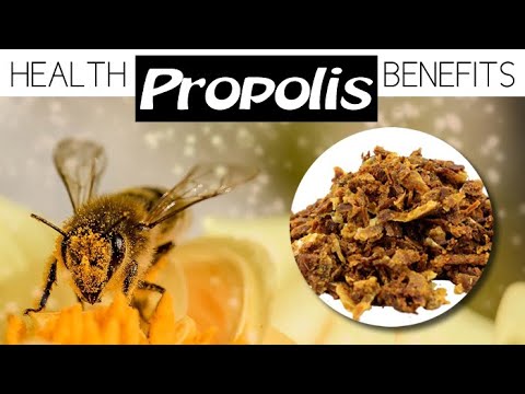 BEE PROPOLIS BENEFITS plus How To Source Bio-Active Propolis