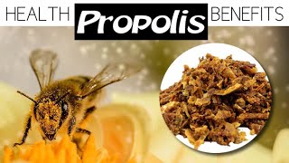 BEE PROPOLIS BENEFITS plus How To Source Bio-Active Propolis