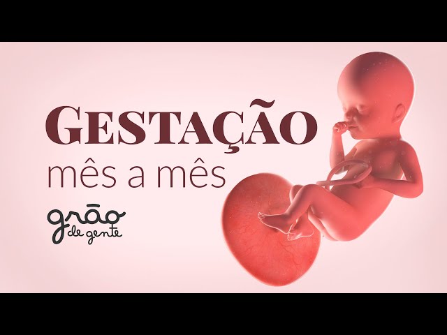 GESTAÇÃO SEMANA A SEMANA. VEJA TUDO SOBRE GRAVIDEZ | GRÃO DE GENTE