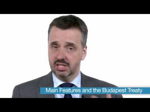 Learn the PCT  Episode 28   Disclosure of Microorganisms and Biological Materials