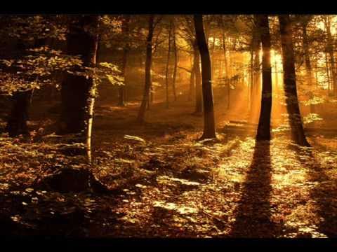 Kitazzz Ir Charli - 14 Uoju Vieskeliu