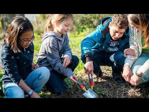 Wochenziehung, 26.05.2019 (Bielefeld)