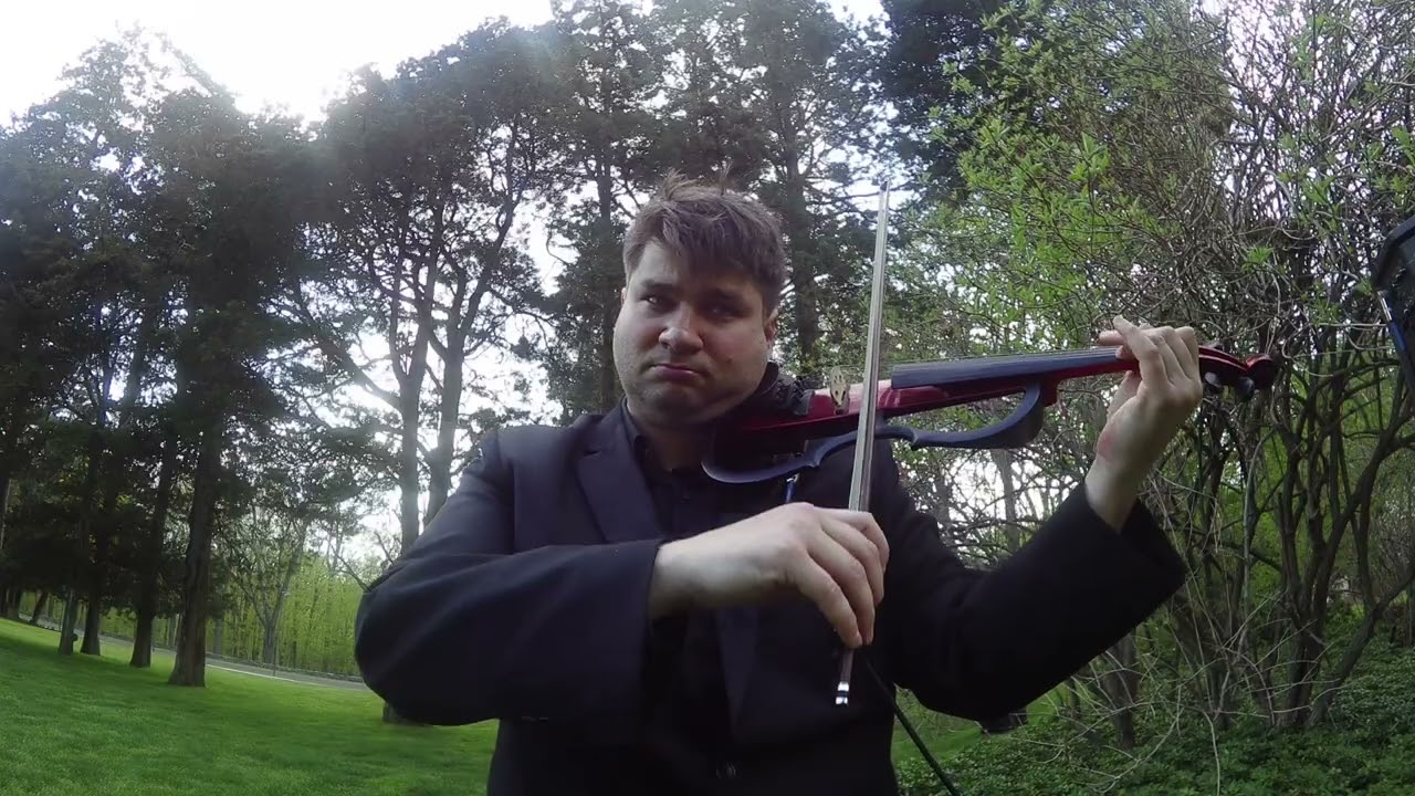 Promotional video thumbnail 1 for Sandro Ladu Music