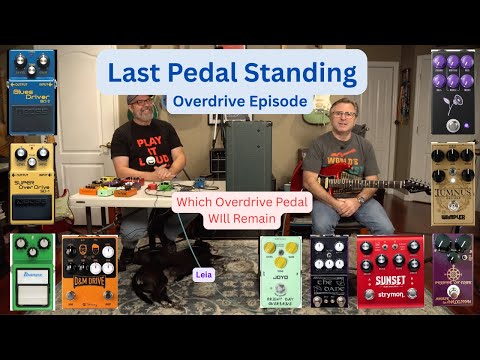 Last Pedal Standing 2025: Ultimate Overdrive Pedal Showdown!