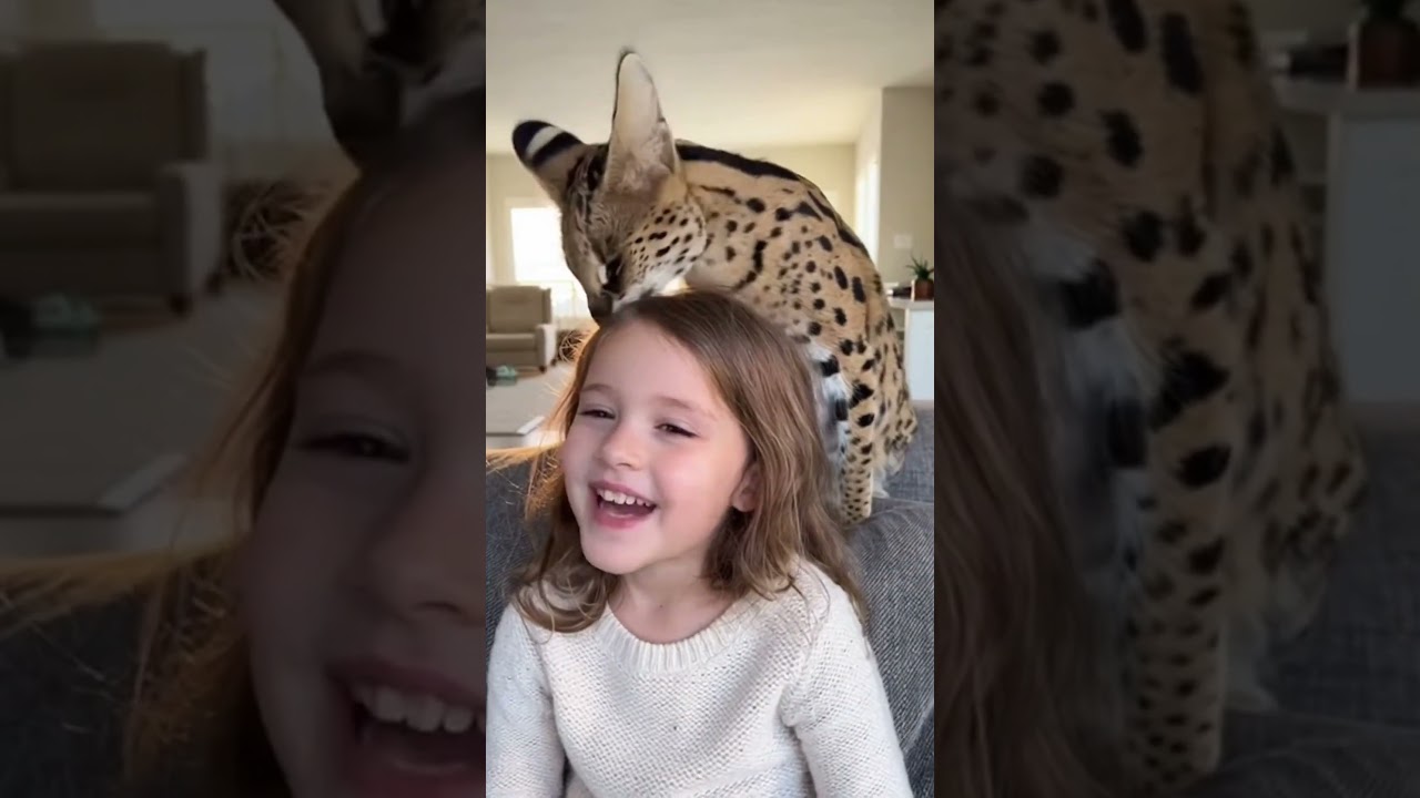 cute #viral #trending #short