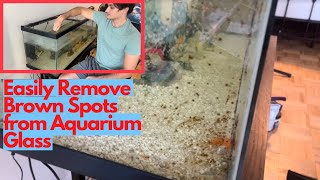 How to Remove BROWN Spots from Aquarium Glass
